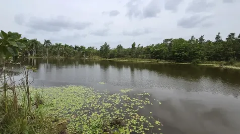 Pr 669 Km 0.3 Int Pr 828 Vega Alta PR 00692