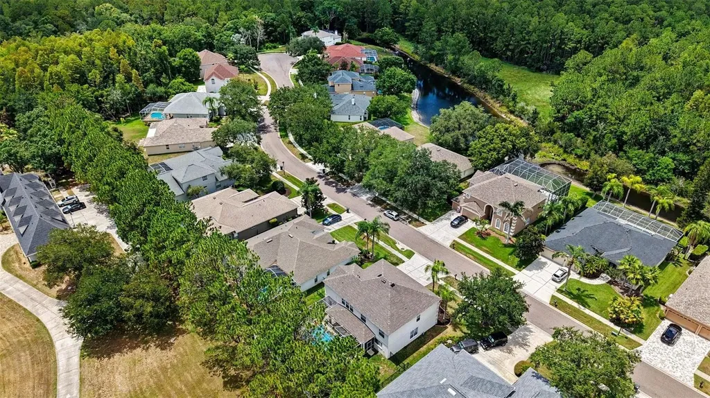 6112 Cezanne Avenue Lutz FL 33558