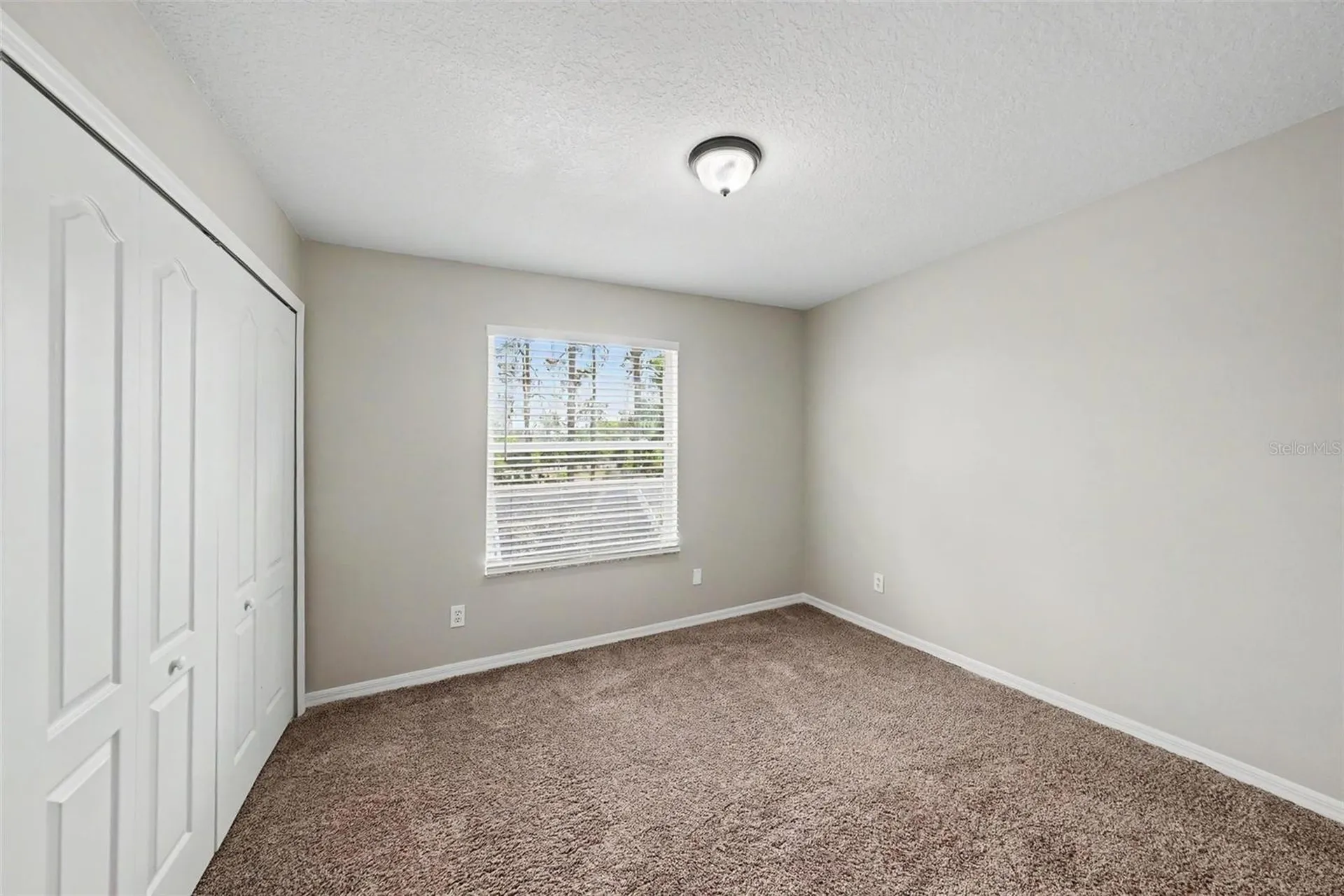 6112 Cezanne Avenue Lutz FL 33558