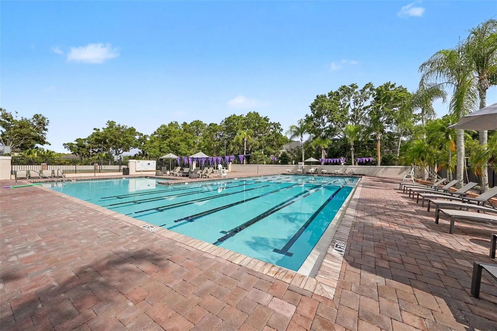 6112 Cezanne Avenue Lutz FL 33558