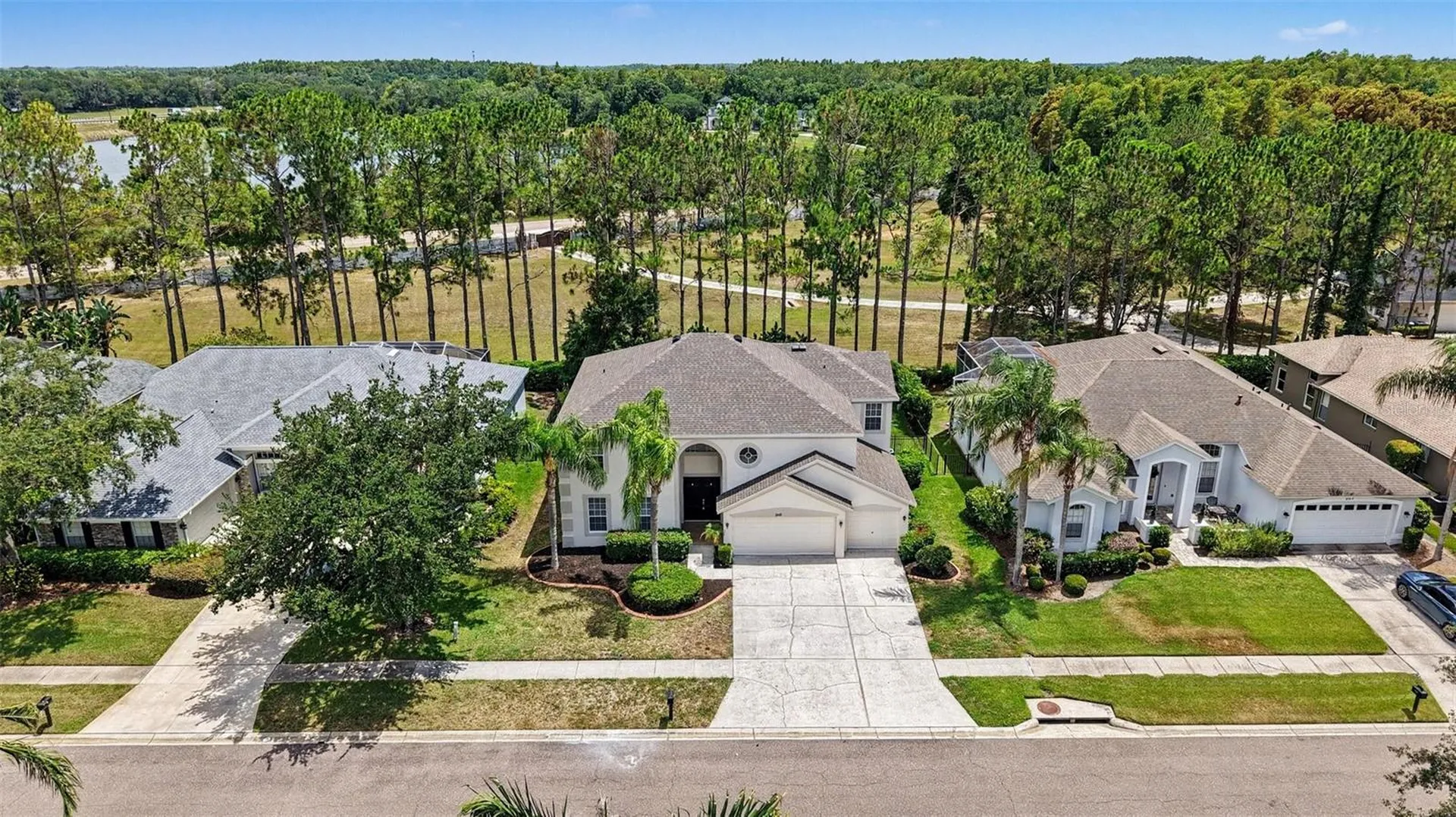6112 Cezanne Avenue Lutz FL 33558