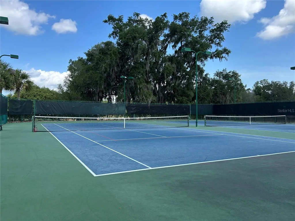 5710 Alenlon Way Mount Dora FL 32757