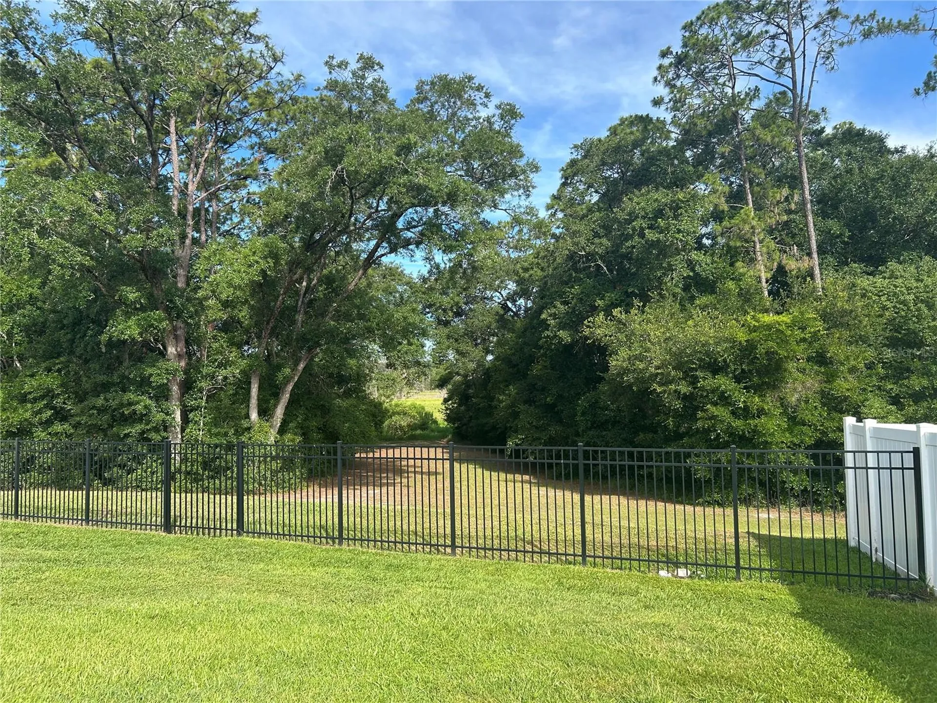 5710 Alenlon Way Mount Dora FL 32757
