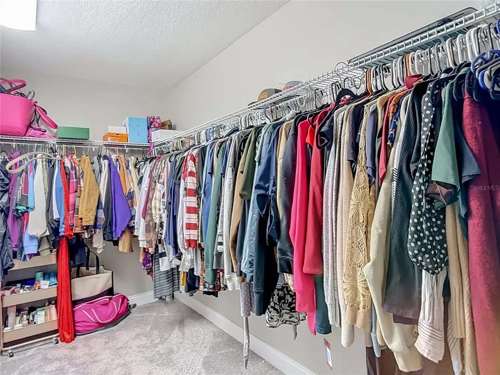 29909 Cedar Waxwing Drive Wesley Chapel FL 33545