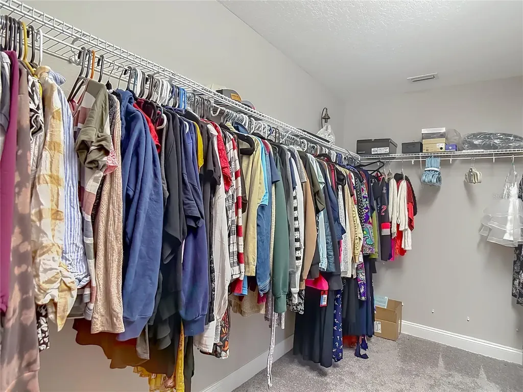 29909 Cedar Waxwing Drive Wesley Chapel FL 33545