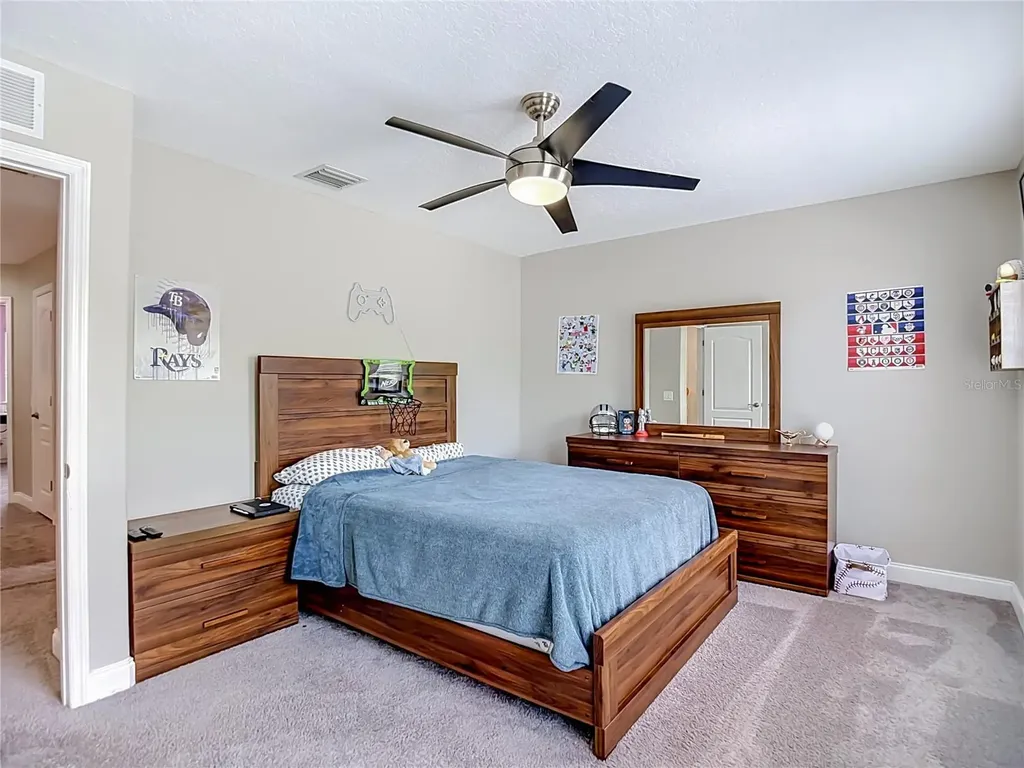 29909 Cedar Waxwing Drive Wesley Chapel FL 33545