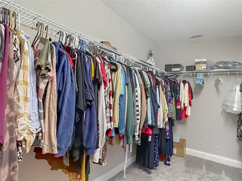 29909 Cedar Waxwing Drive Wesley Chapel FL 33545