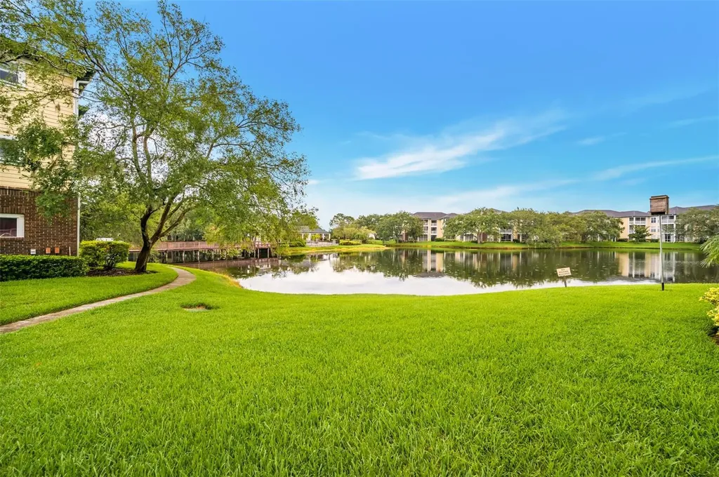 4115 Chatham Oak Court Tampa FL 33624