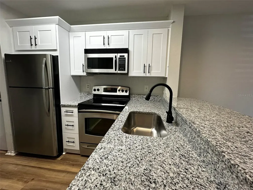 4115 Chatham Oak Court Tampa FL 33624