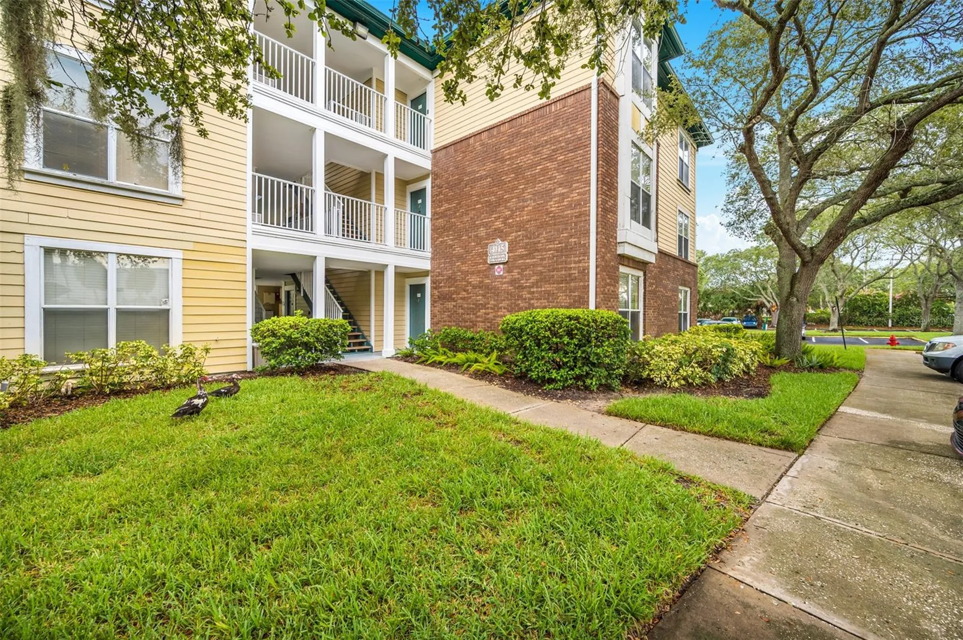 4115 Chatham Oak Court Tampa FL 33624
