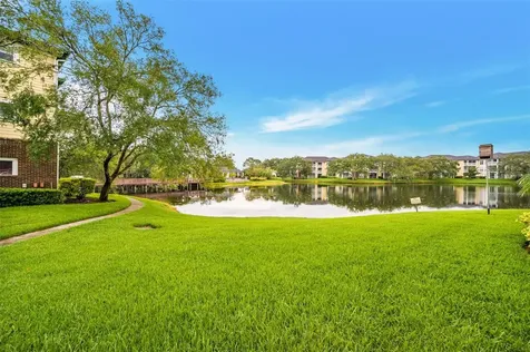 4115 Chatham Oak Court Tampa FL 33624