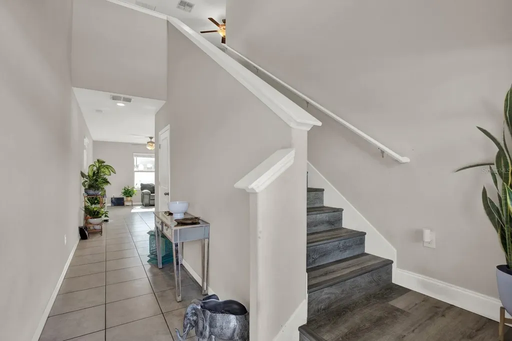 3707 Daisy Bloom Place Tampa FL 33619