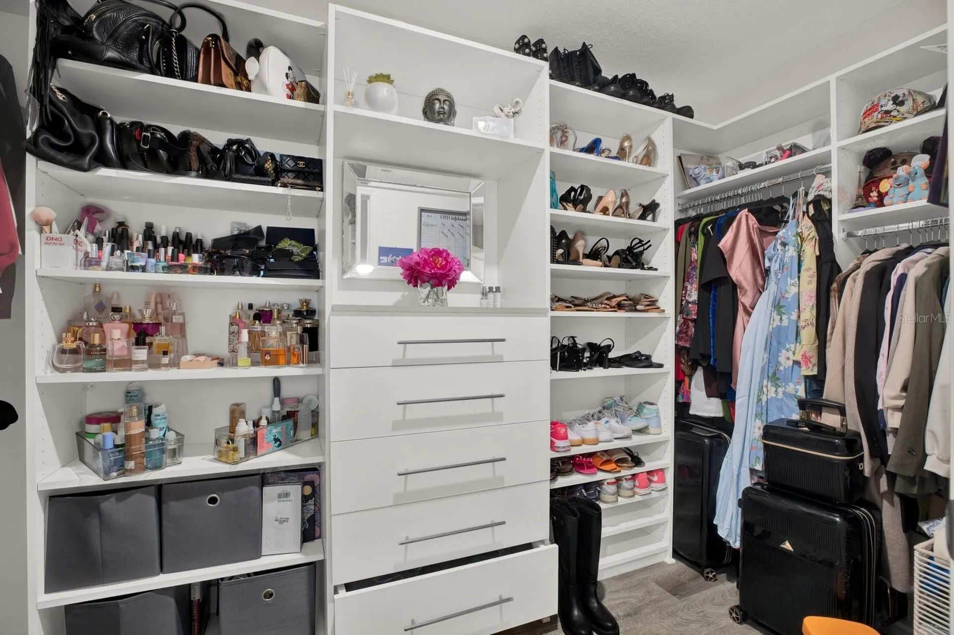 3707 Daisy Bloom Place Tampa FL 33619