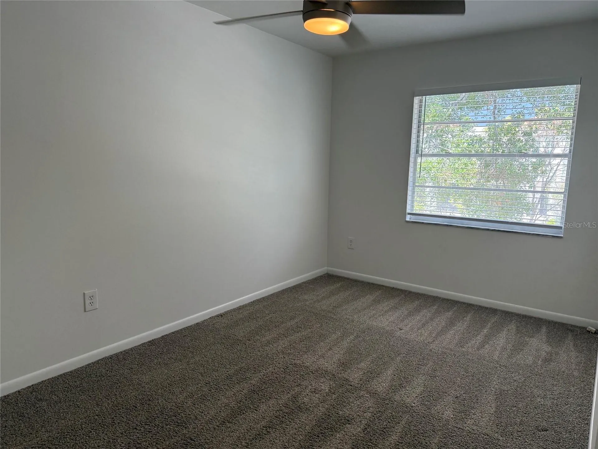 305 S Westland Avenue Tampa FL 33606