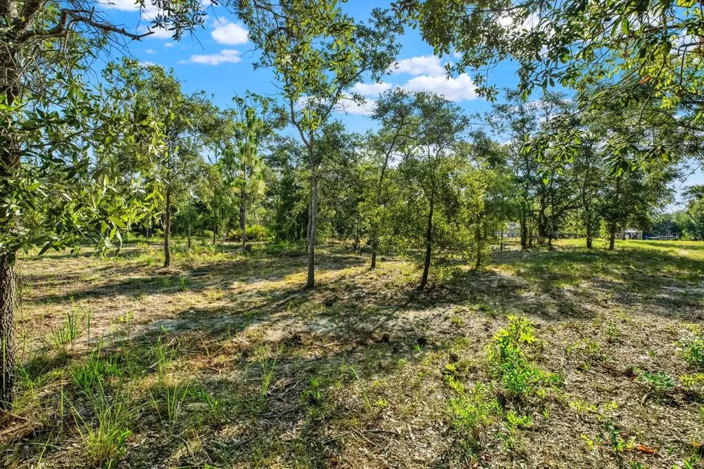 0 Condor Road Brooksville FL 34614