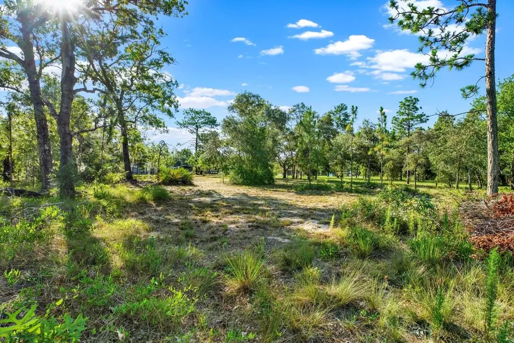 0 Condor Road Brooksville FL 34614