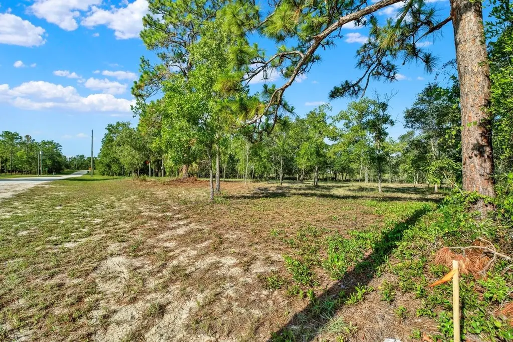 0 Condor Road Brooksville FL 34614