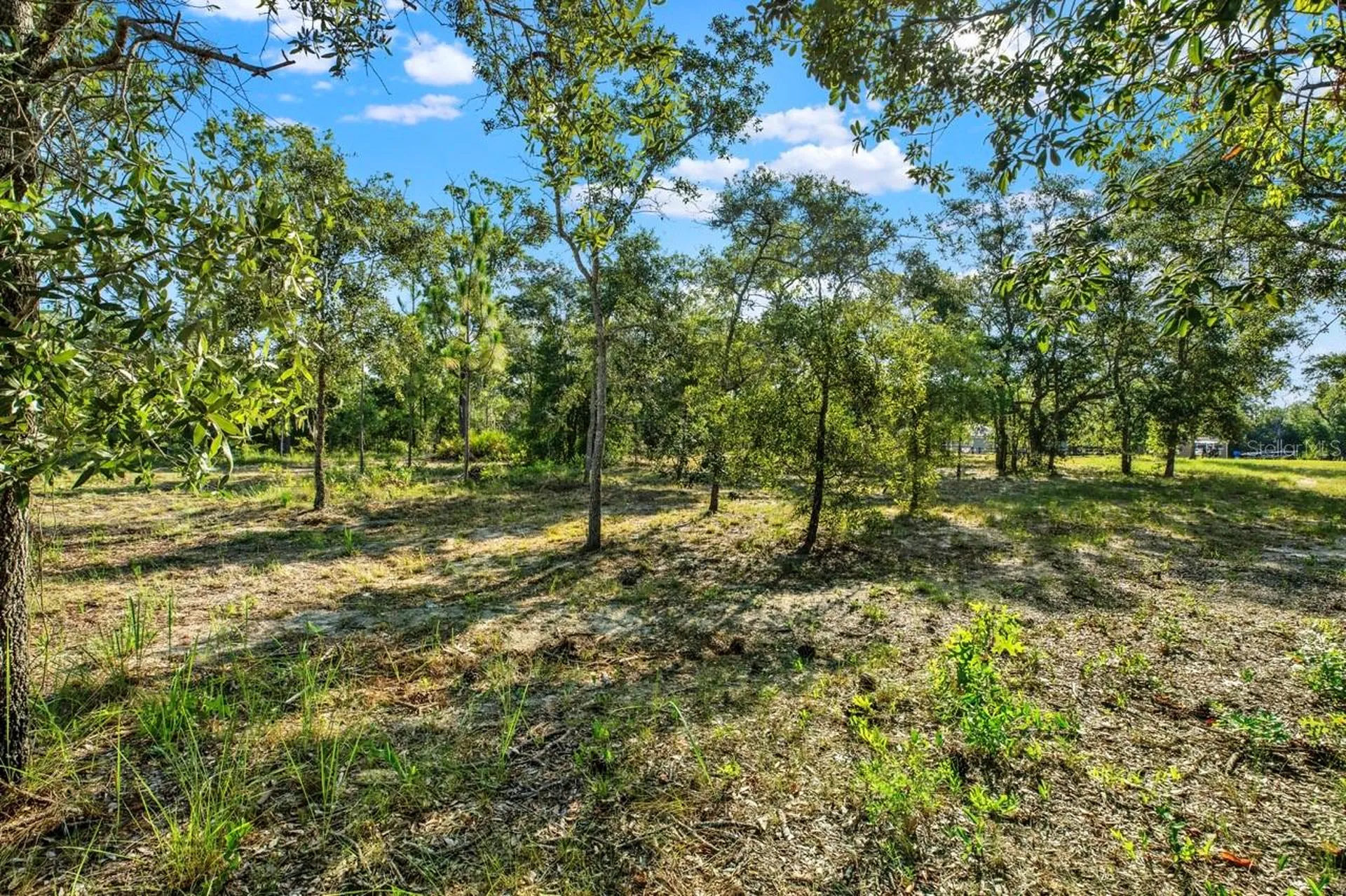 0 Condor Road Brooksville FL 34614