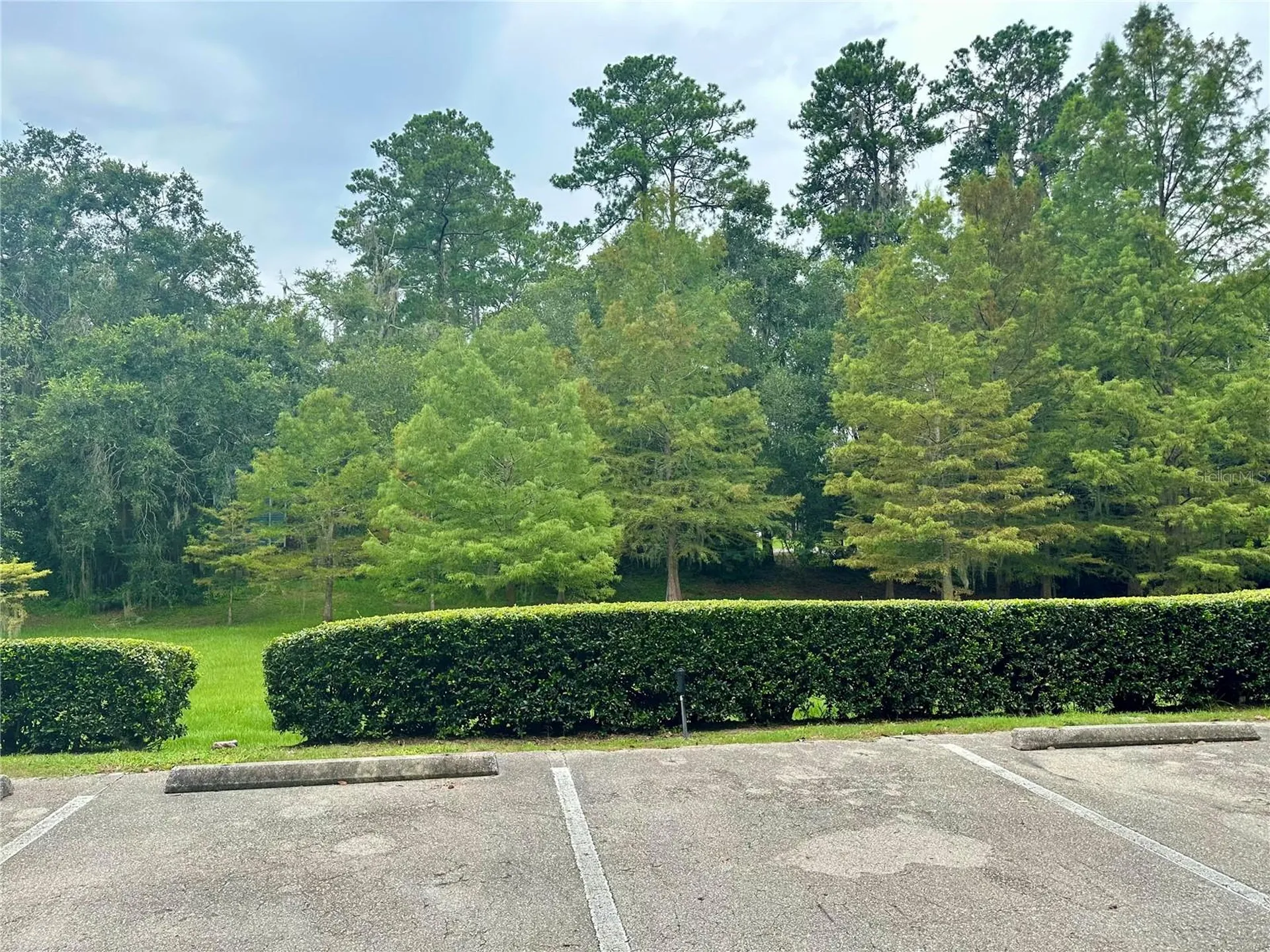 4000 SW 23rd Street Gainesville FL 32608