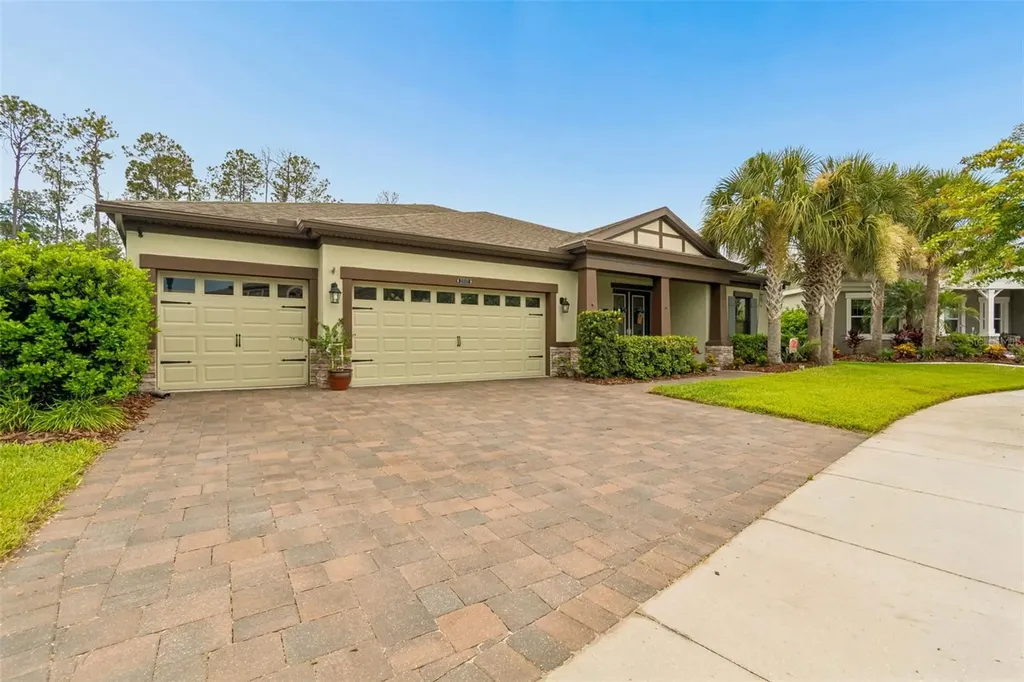 21882 Butterfly Kiss Drive Land O Lakes FL 34637