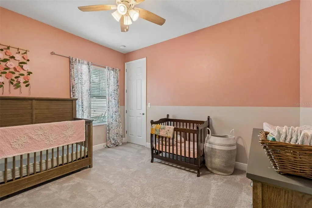 21882 Butterfly Kiss Drive Land O Lakes FL 34637