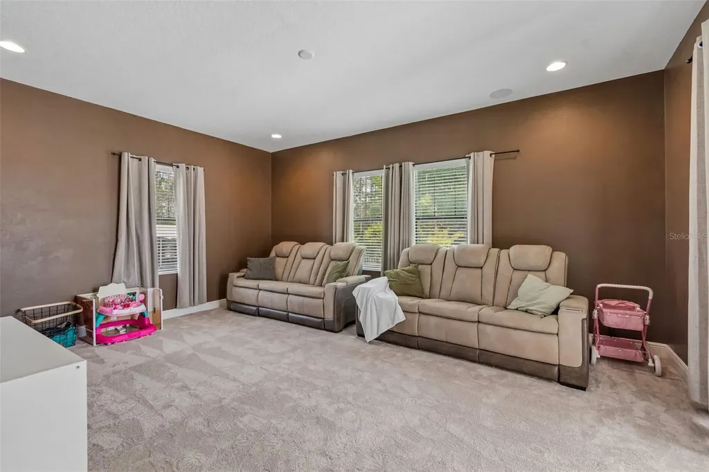 21882 Butterfly Kiss Drive Land O Lakes FL 34637