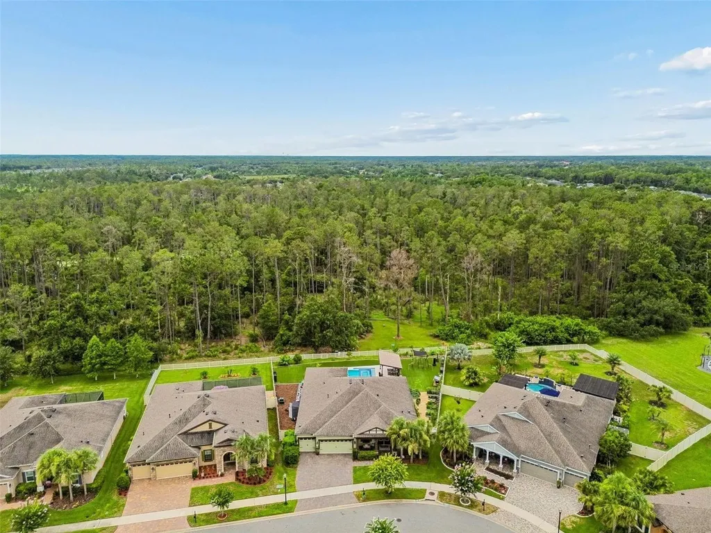 21882 Butterfly Kiss Drive Land O Lakes FL 34637