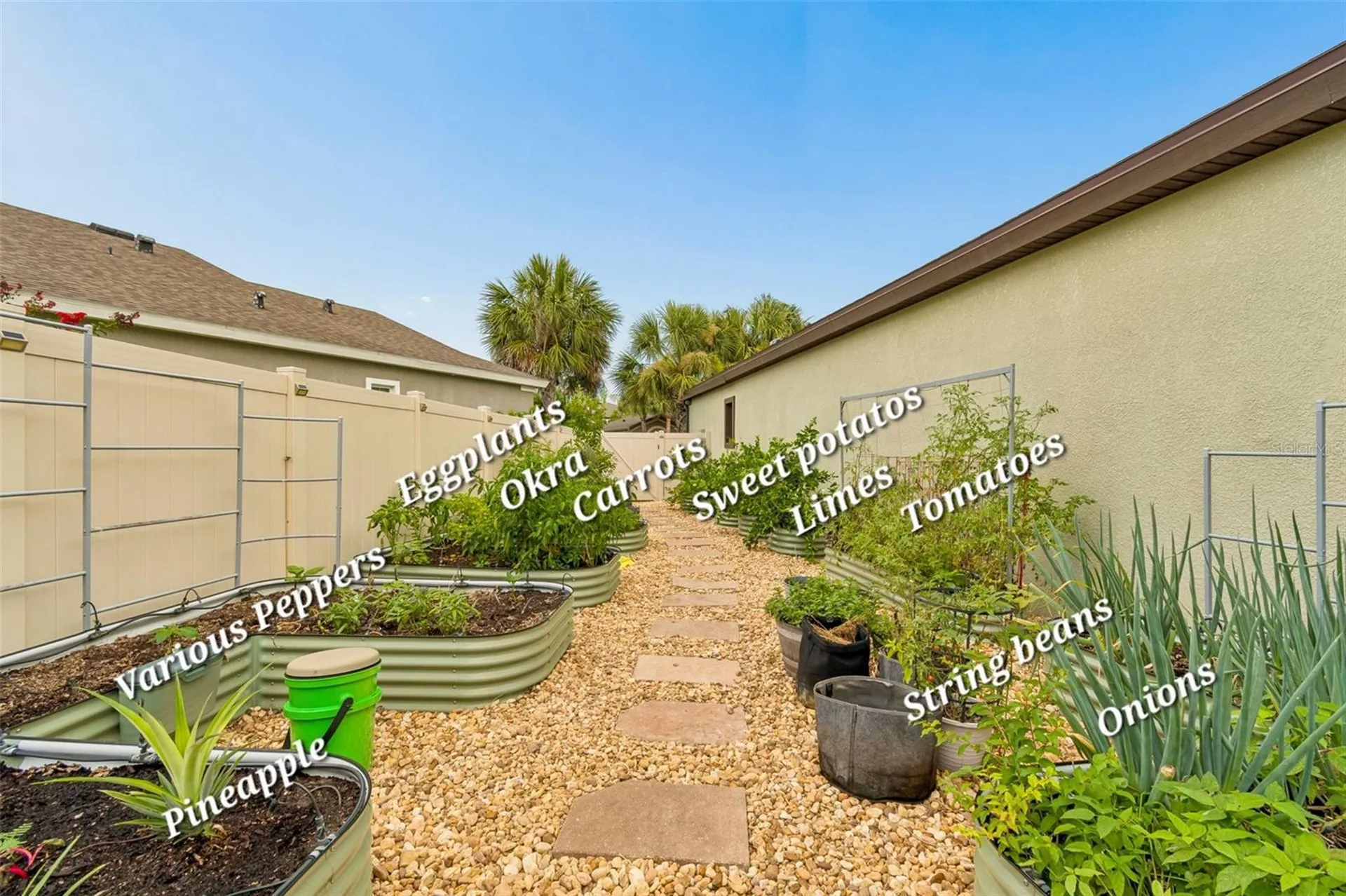 21882 Butterfly Kiss Drive Land O Lakes FL 34637
