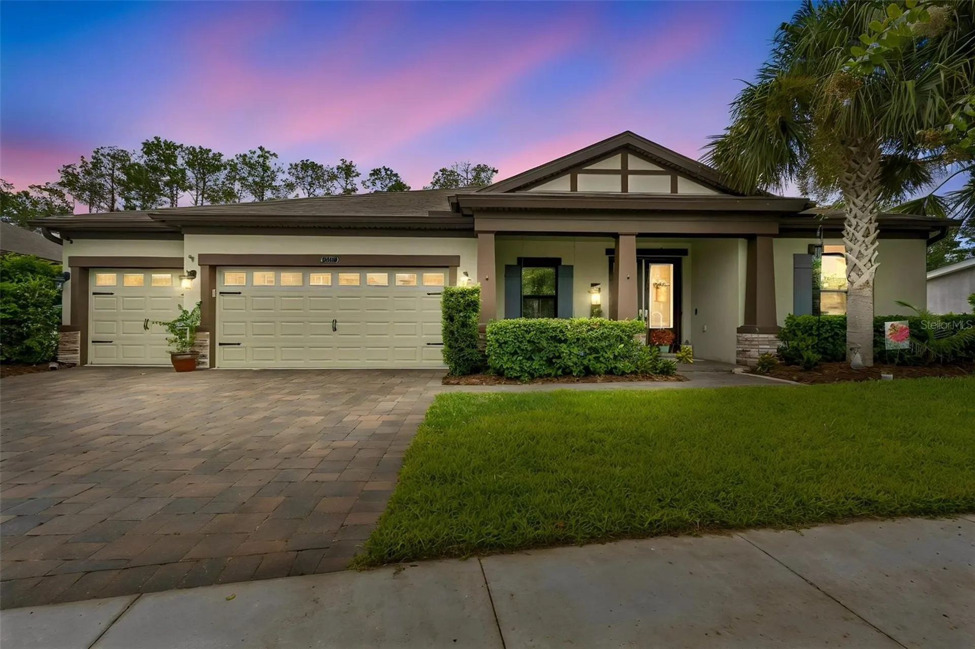 21882 Butterfly Kiss Drive Land O Lakes FL 34637