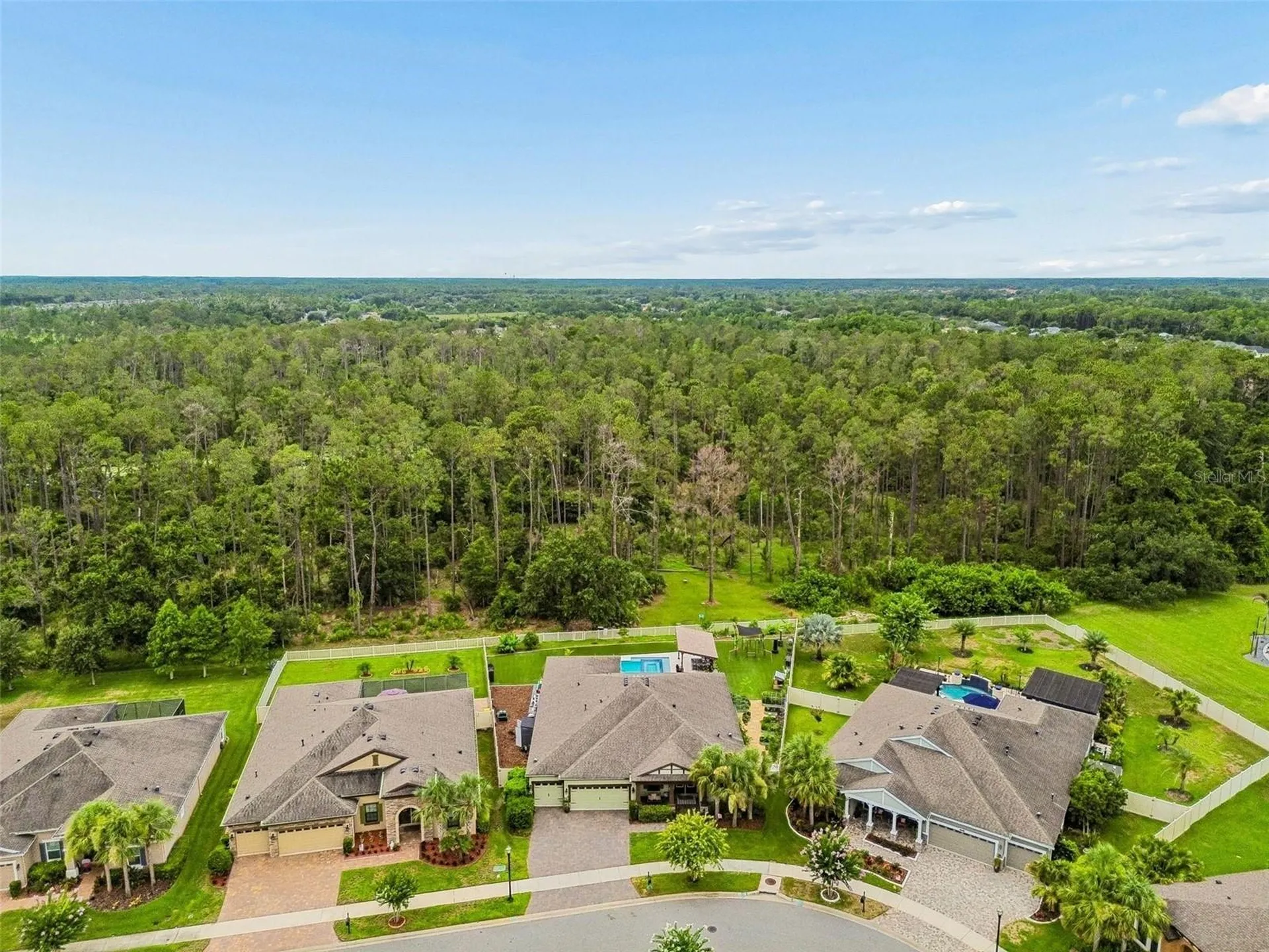 21882 Butterfly Kiss Drive Land O Lakes FL 34637