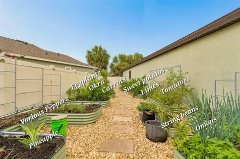 21882 Butterfly Kiss Drive Land O Lakes FL 34637
