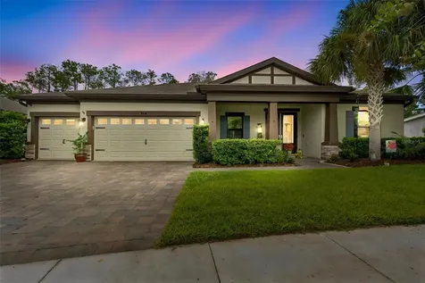 21882 Butterfly Kiss Drive Land O Lakes FL 34637