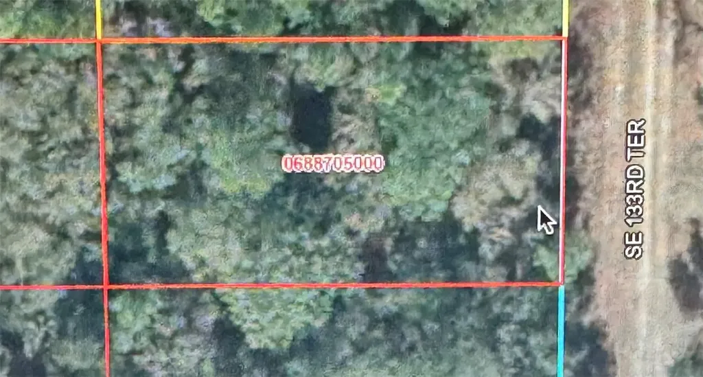 SE 133rd Terrace Dunnellon FL 34432