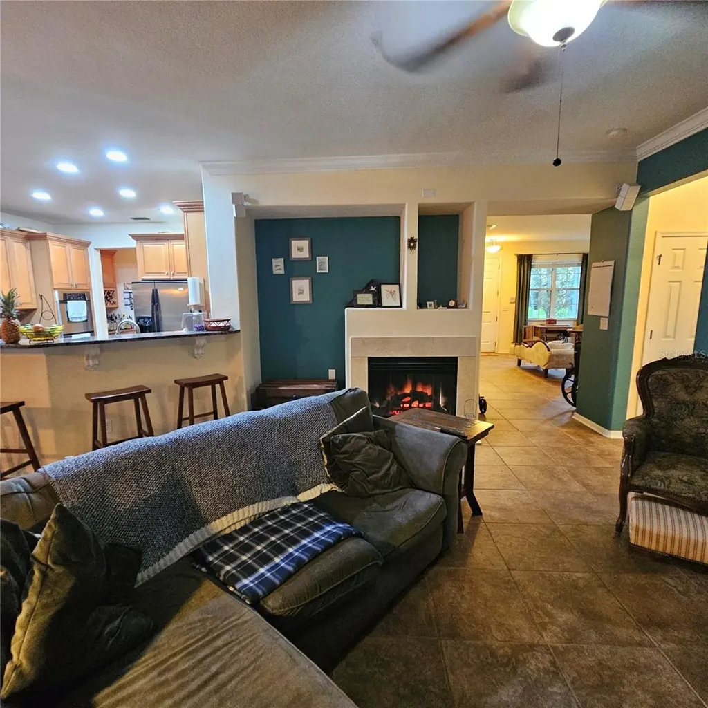 7306 Bridgeview Drive Wesley Chapel FL 33545