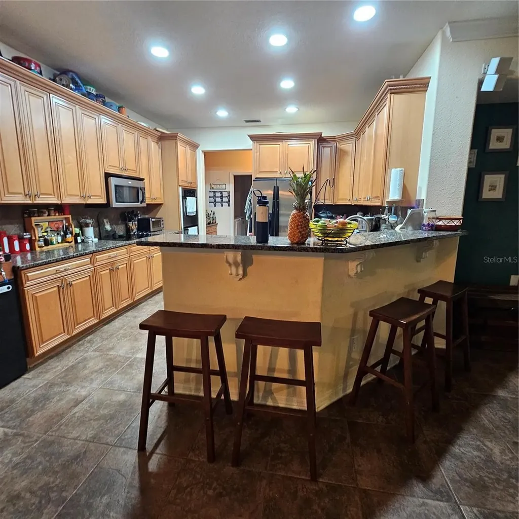 7306 Bridgeview Drive Wesley Chapel FL 33545