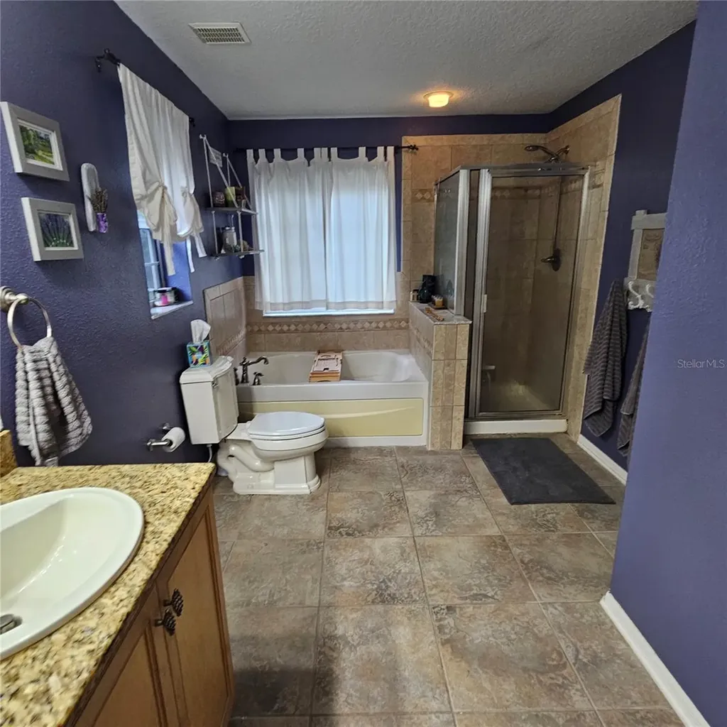 7306 Bridgeview Drive Wesley Chapel FL 33545