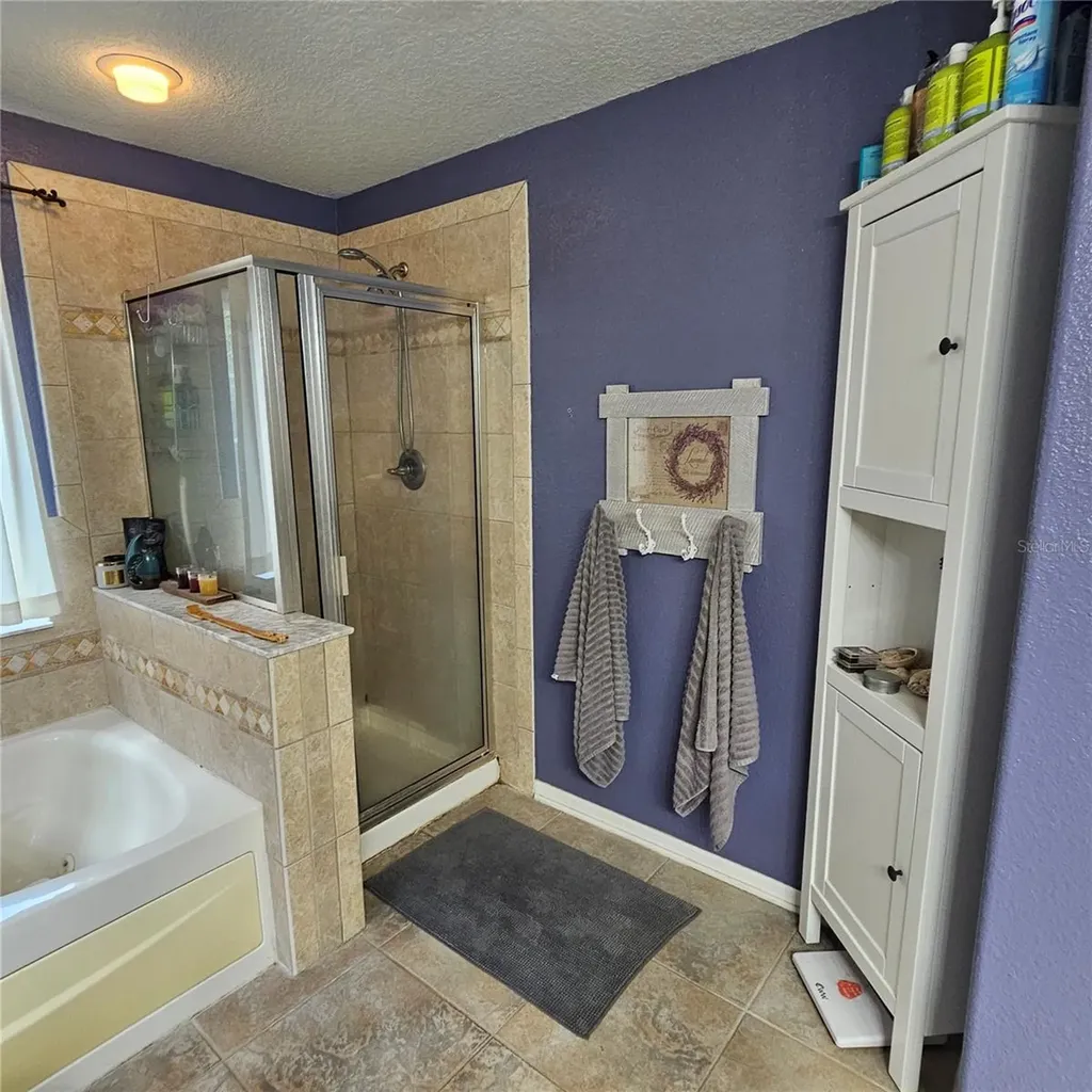 7306 Bridgeview Drive Wesley Chapel FL 33545