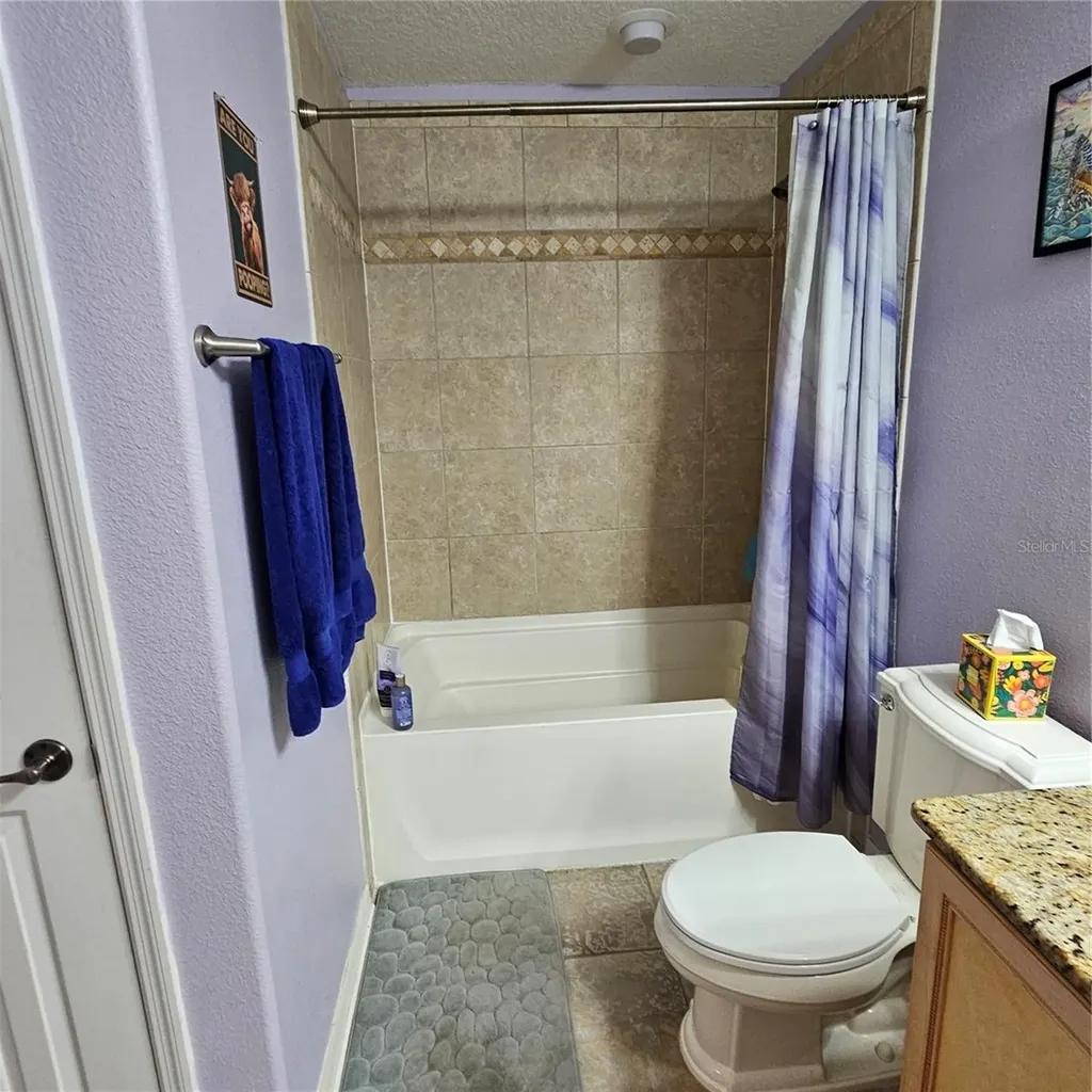 7306 Bridgeview Drive Wesley Chapel FL 33545