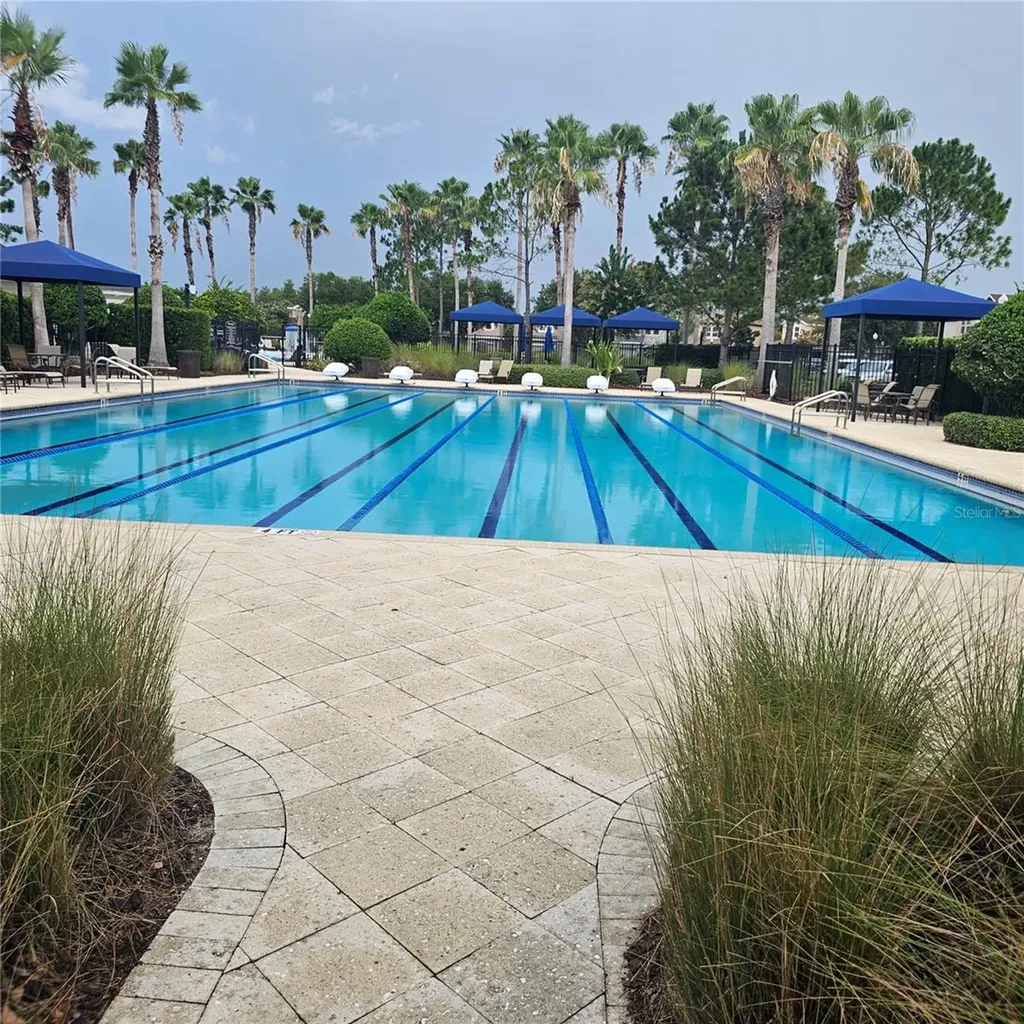 7306 Bridgeview Drive Wesley Chapel FL 33545