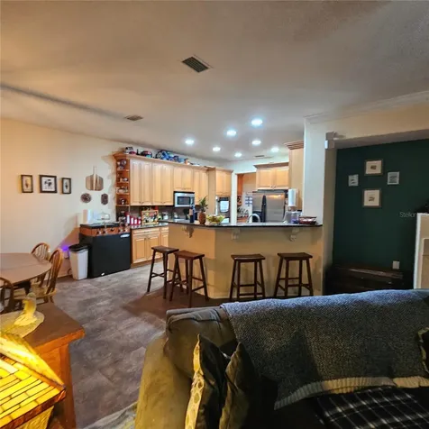 7306 Bridgeview Drive Wesley Chapel FL 33545