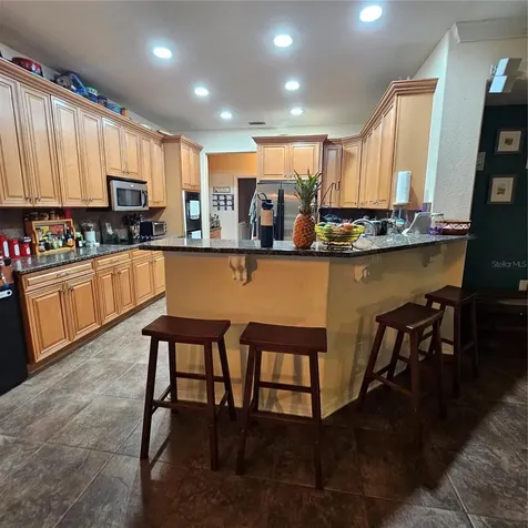 7306 Bridgeview Drive Wesley Chapel FL 33545