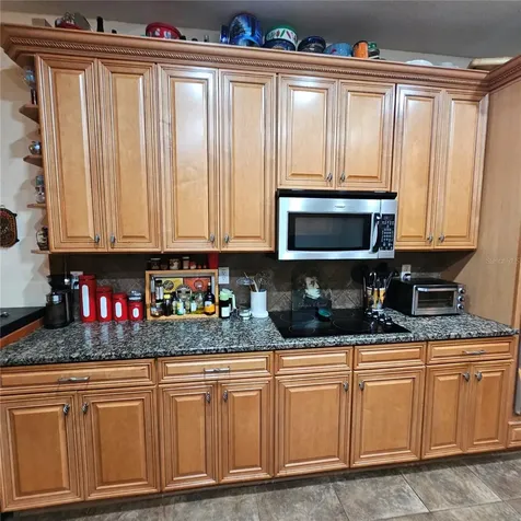 7306 Bridgeview Drive Wesley Chapel FL 33545