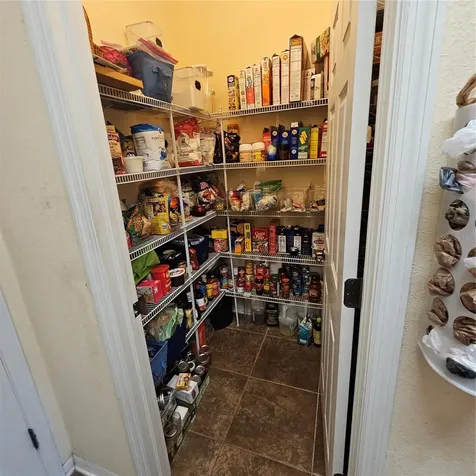 7306 Bridgeview Drive Wesley Chapel FL 33545