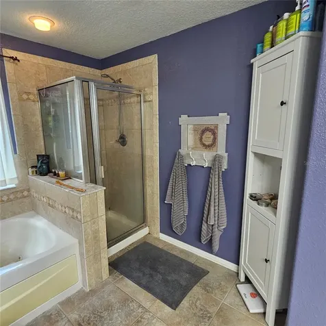 7306 Bridgeview Drive Wesley Chapel FL 33545