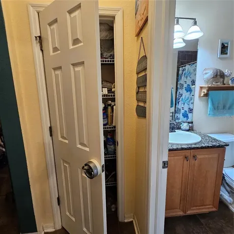 7306 Bridgeview Drive Wesley Chapel FL 33545