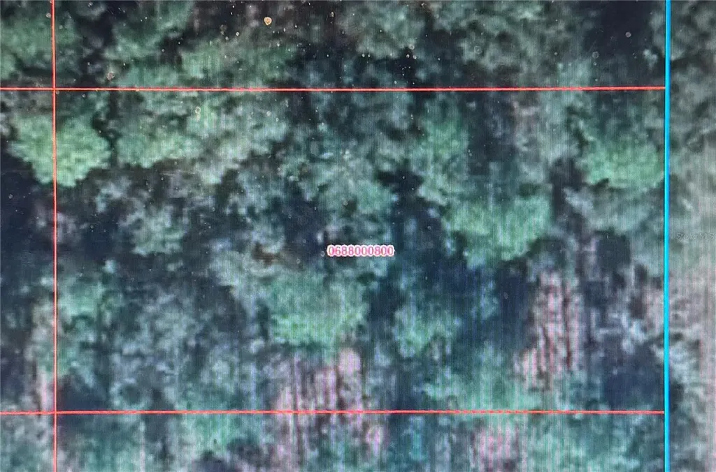 0 SE 134th Terrace Dunnellon FL 34432