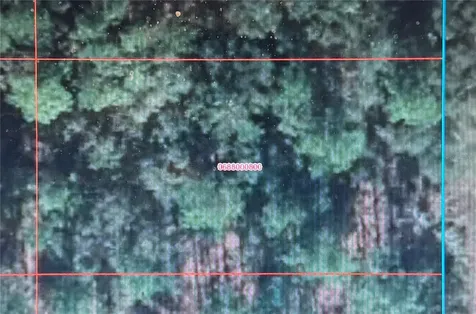 0 SE 134th Terrace Dunnellon FL 34432
