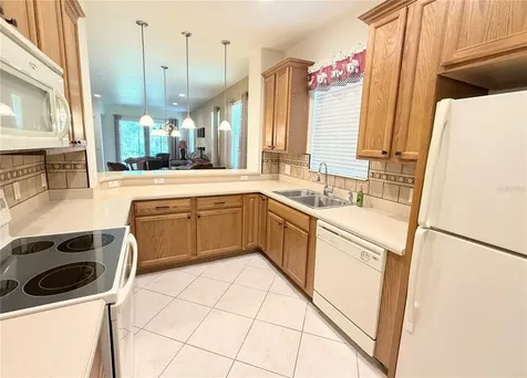 2316 Palm Tree Drive Kissimmee FL 34759