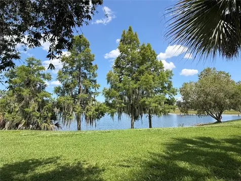 2316 Palm Tree Drive Kissimmee FL 34759