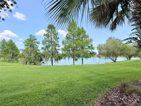 2316 Palm Tree Drive Kissimmee FL 34759